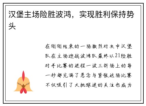汉堡主场险胜波鸿，实现胜利保持势头