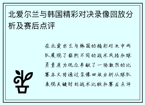 北爱尔兰与韩国精彩对决录像回放分析及赛后点评