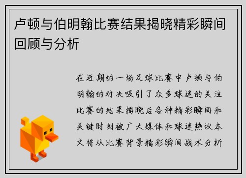 卢顿与伯明翰比赛结果揭晓精彩瞬间回顾与分析