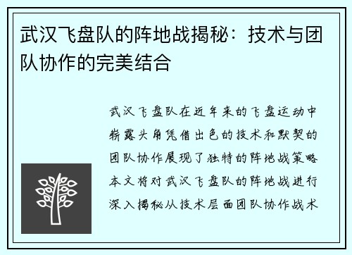 武汉飞盘队的阵地战揭秘：技术与团队协作的完美结合